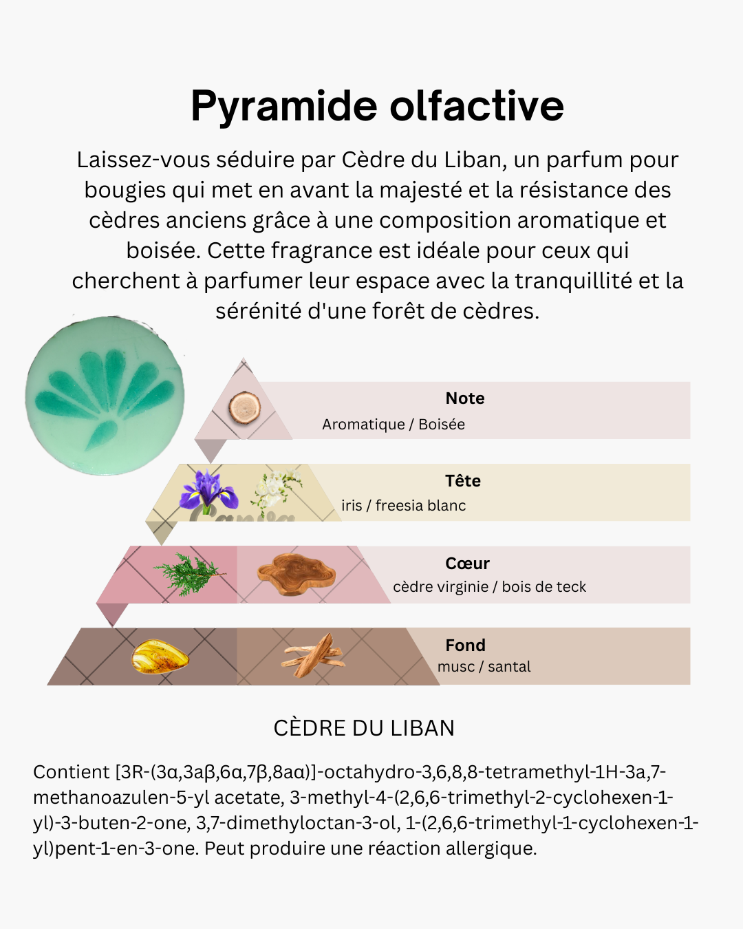 FONDANT GALET 20 grammes cire de Soja