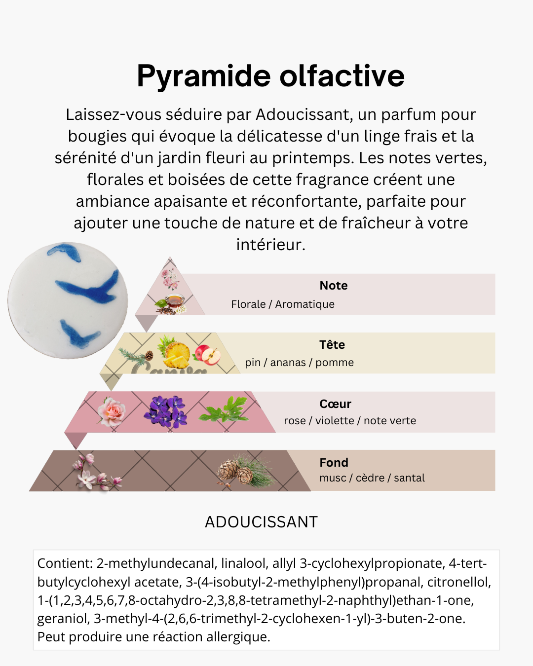 FONDANT GALET 20 grammes cire de Soja