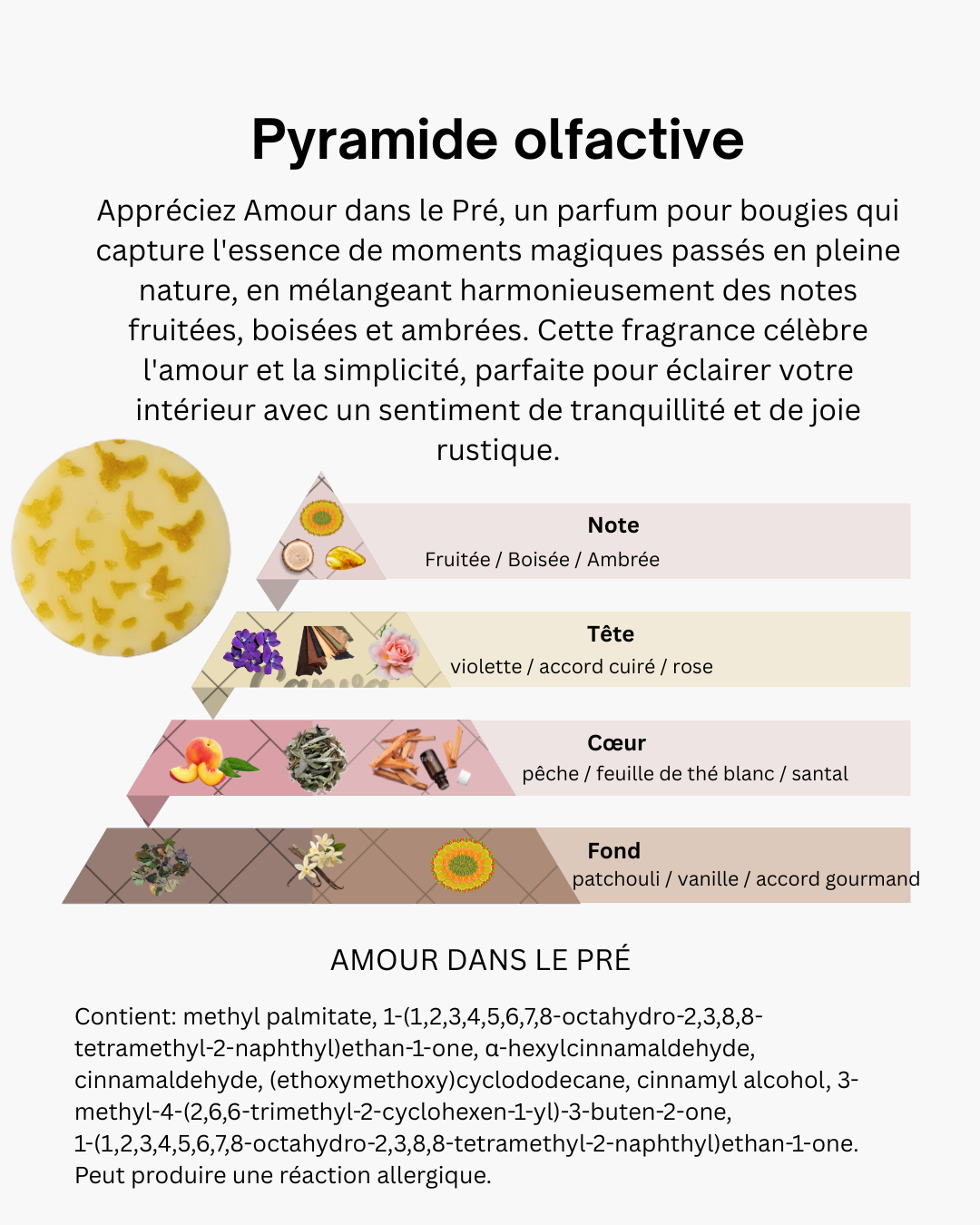 FONDANT GALET 20 grammes cire de Soja